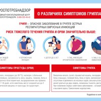 В последние недели в России наблюдается рост заболеваемости ОРВИ и гриппом