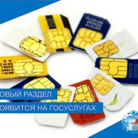 На Госуслугах появится новый раздел с SIM-картами