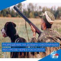 На Госуслугах можно подать заявление на получение разрешения на добычу охотничьих ресурсов в общедоступные охотничьи угодья Самарской области