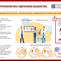 Управление Роспотребнадзора по Самарской области напоминает о мерах профилактики бешенства