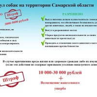  Комитет ветеринарии Самарской области подготовил важную памятку по правилам выгула собак на территории нашего региона