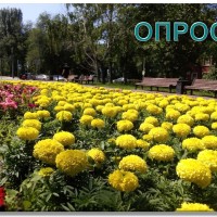 Дорогие друзья, предлагаем вам принять участие в важном опросе