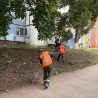 Управляющие компании активно участвуют в общегородском субботнике