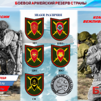  Б О Е В О Й  А Р М Е Й С К И Й  Р Е З Е Р В  С Т Р А Н Ы