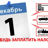 1 декабря - заплати налоги! 