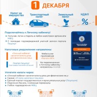 Межрайонная ИФНС России №22 по Самарской области сообщает: оплати налоги до 1 декабря 