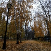 Как часто вы гуляете в парках и скверах