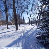 Предлагаем вам принять участие в опросе