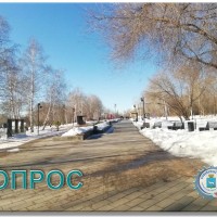 1 апреля начнется месячник по благоустройству, озеленению и улучшению внешнего облика Самары