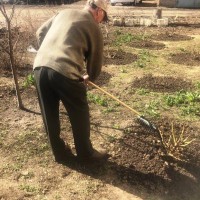 Сегодня стартовал месячник по благоустройству