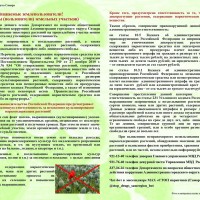 Памятка об административной и уголовной ответственности за незаконное культивирование наркосодержащих растений