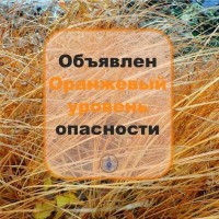 Высокая пожарная опасность лесов️