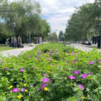 Ваш голос определит будущее города к 2027 год