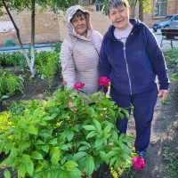  Клуб цветоводов ТОС «Восход» активно благоустраивает дворы микрорайона, делая их ярче и уютнее