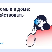  Борьба с насекомыми в многоквартирном доме