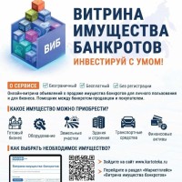Федеральной налоговой службой совместно с компанией «КоммерсантЪ КАРТОТЕКА» запущен маркетплейс «Витрина имущества банкротов» (ВИБ).