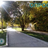 Осень щедро раскрасила городские аллеи в золото и багрянец, превратив каждый парк в настоящую живописную сказку