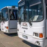 В период празднования Дня города Самара для комфорта жителей и гостей будет усилена работа общественного транспорта