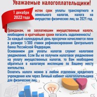 Межрайонная инспекция  Федеральной налоговой службы России № 22  по Самарской области информирует