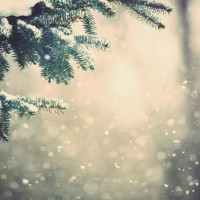 По сообщению  ФГБУ «Приволжское УГМС» днем 31 декабря 2022 года местами в Самарской области ожидается сильный снег, мокрый снег.                                