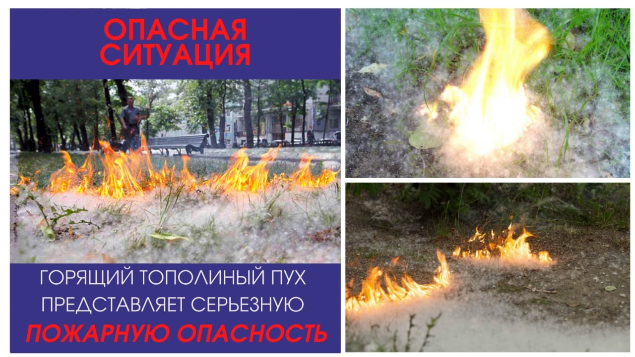 Безопасность #22