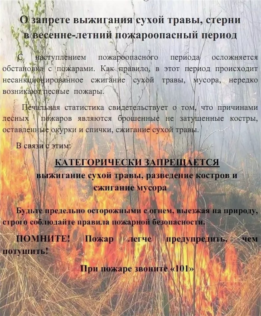 Безопасность #14