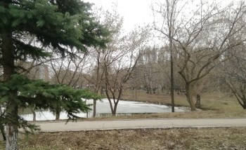  Делимся с вами сегодняшними фото из парка «Воронежские озера» - одного из любимых общественных пространств жителей района и города #5