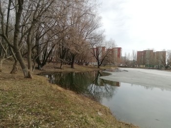  Делимся с вами сегодняшними фото из парка «Воронежские озера» - одного из любимых общественных пространств жителей района и города #4