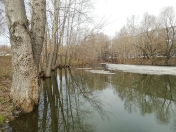  Делимся с вами сегодняшними фото из парка «Воронежские озера» - одного из любимых общественных пространств жителей района и города #1