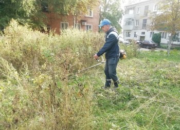Сегодня в нашем районе проходит масштабный сентябрьский общегородской субботник #2