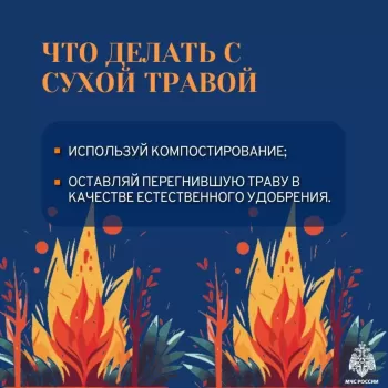 Соблюдайте правила пожарной безопасности, не сжигайте сухую траву #1