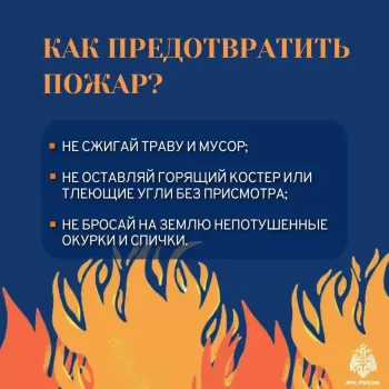 Соблюдайте правила пожарной безопасности, не сжигайте сухую траву #3