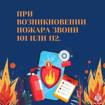 Соблюдайте правила пожарной безопасности, не сжигайте сухую траву #4