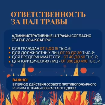 Соблюдайте правила пожарной безопасности, не сжигайте сухую траву #5