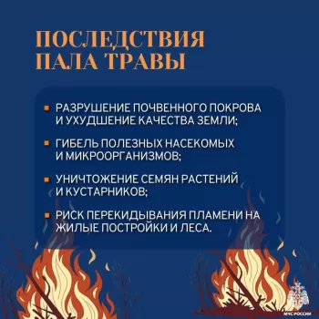Соблюдайте правила пожарной безопасности, не сжигайте сухую траву #2