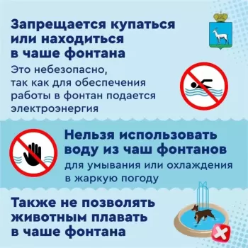  Правила поведения у фонтанов: коротко о главном #1