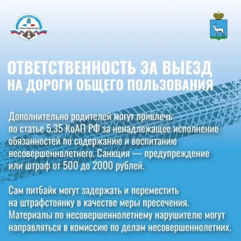 Подросток на питбайке на проезжей части — это прямая угроза жизни #1