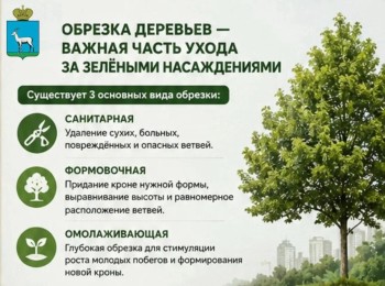  О кронировании и сносе деревьев в Самаре #1