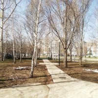  Как может преобразиться сквер Памяти Ветеранов